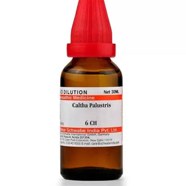 https://cdn.shopify.com/s/files/1/1857/6931/products/VnzG1vwTU7.jpg?v=1613912050